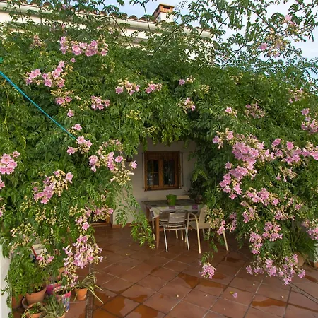 La Rana