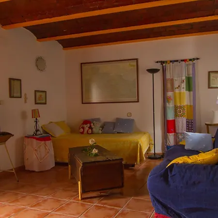 La Rana *