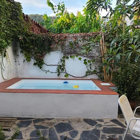 La Rana